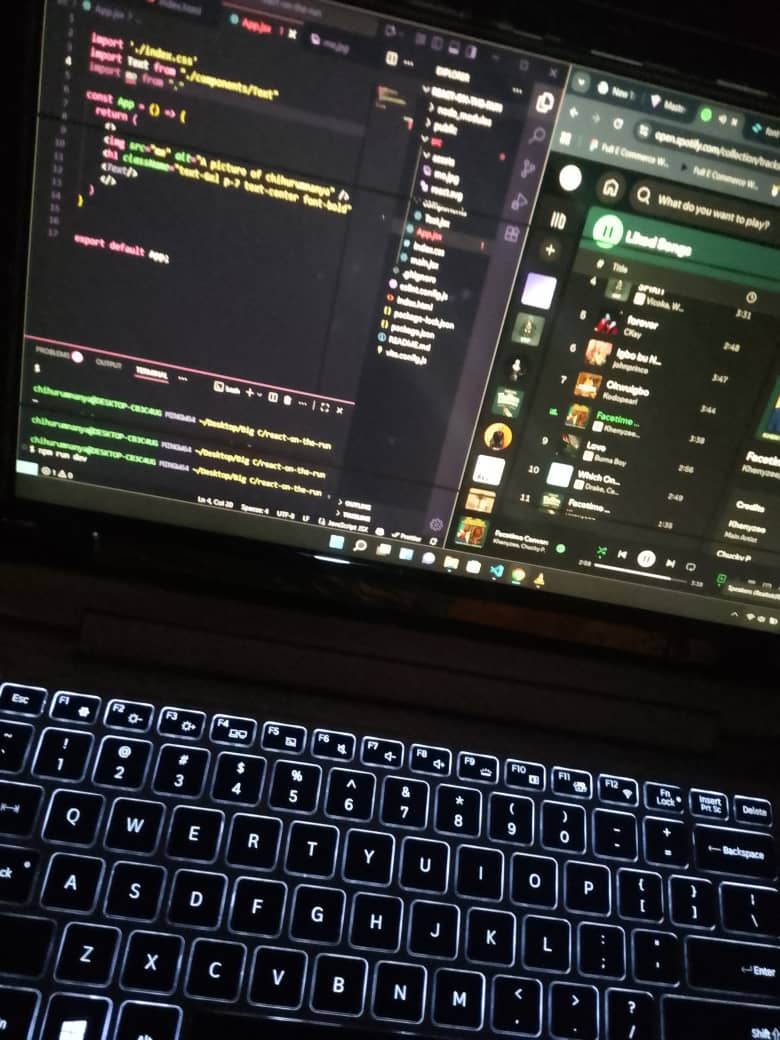 dell lat screen